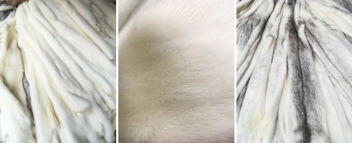 鄭州鋼結(jié)構(gòu)工程